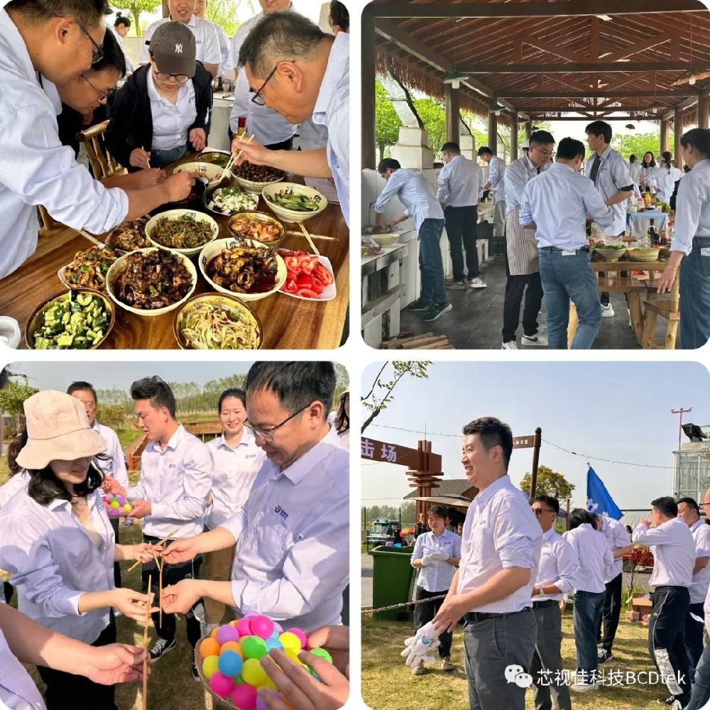 “同芯同行，攜手共進”芯視佳春季團建活動
